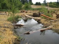 The Karileen restoration project is designed to provide enhancements to fish and wildlife habitat on the west branch of Hylebos Creek.